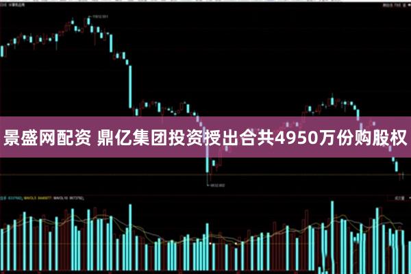 景盛网配资 鼎亿集团投资授出合共4950万份购股权