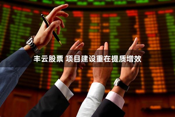丰云股票 项目建设重在提质增效