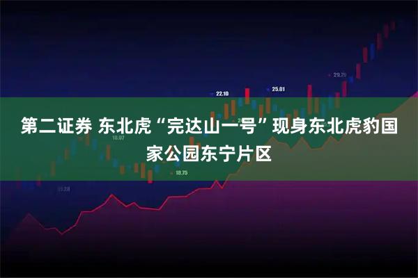 第二证券 东北虎“完达山一号”现身东北虎豹国家公园东宁片区